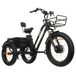 GOBike FORTE Electric All-Terrain Tricycle Electric Tricycle ComfyGo Black  