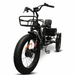 GOBike FORZA Foldable Electric Tricycle Electric Tricycle ComfyGo   