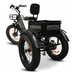 GOBike FORZA Foldable Electric Tricycle Electric Tricycle ComfyGo   