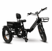 GOBike FORZA Foldable Electric Tricycle Electric Tricycle ComfyGo   