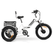 GOBike FORZA Foldable Electric Tricycle Electric Tricycle ComfyGo   