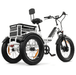 GOBike FORZA Foldable Electric Tricycle Electric Tricycle ComfyGo   