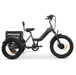 GOBike FORZA Foldable Electric Tricycle Electric Tricycle ComfyGo   