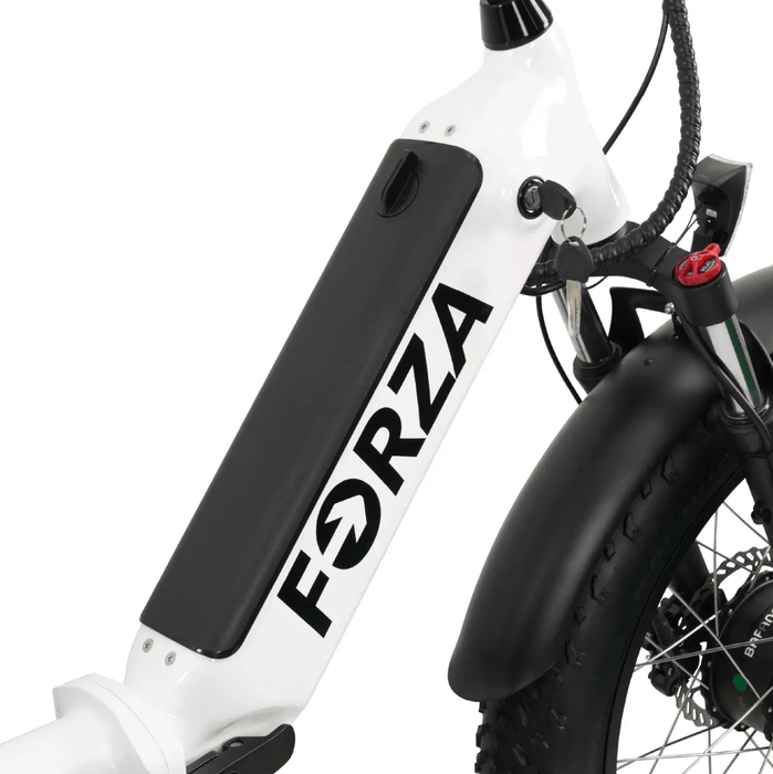 GOBike FORZA Foldable Electric Tricycle Electric Tricycle ComfyGo   