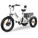 GOBike FORZA Foldable Electric Tricycle Electric Tricycle ComfyGo White  