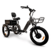 GOBike FORZA Compact Foldable Tricycle Electric Tricycle ComfyGo   