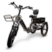 GOBike FORZA Compact Foldable Tricycle Electric Tricycle ComfyGo   