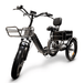 GOBike FORZA Compact Foldable Tricycle Electric Tricycle ComfyGo   