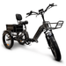 GOBike FORZA Compact Foldable Tricycle Electric Tricycle ComfyGo   