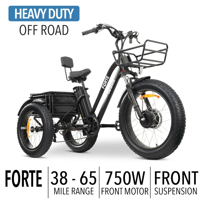 GOBike FORTE Electric All-Terrain Tricycle Electric Tricycle ComfyGo   