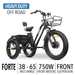 GOBike FORTE Electric All-Terrain Tricycle Electric Tricycle ComfyGo   