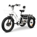 GOBike FORTE Electric All-Terrain Tricycle Electric Tricycle ComfyGo   