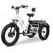 GOBike FORTE Electric All-Terrain Tricycle Electric Tricycle ComfyGo   