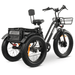 GOBike FORTE Electric All-Terrain Tricycle Electric Tricycle ComfyGo   