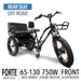 GOBike FORTE Electric Tricycle With Rear Seat Electric Tricycle ComfyGo   