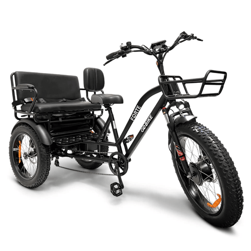 GOBike FORTE Electric Tricycle With Rear Seat Electric Tricycle ComfyGo   