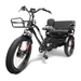 GOBike FORTE Electric Tricycle With Rear Seat Electric Tricycle ComfyGo   