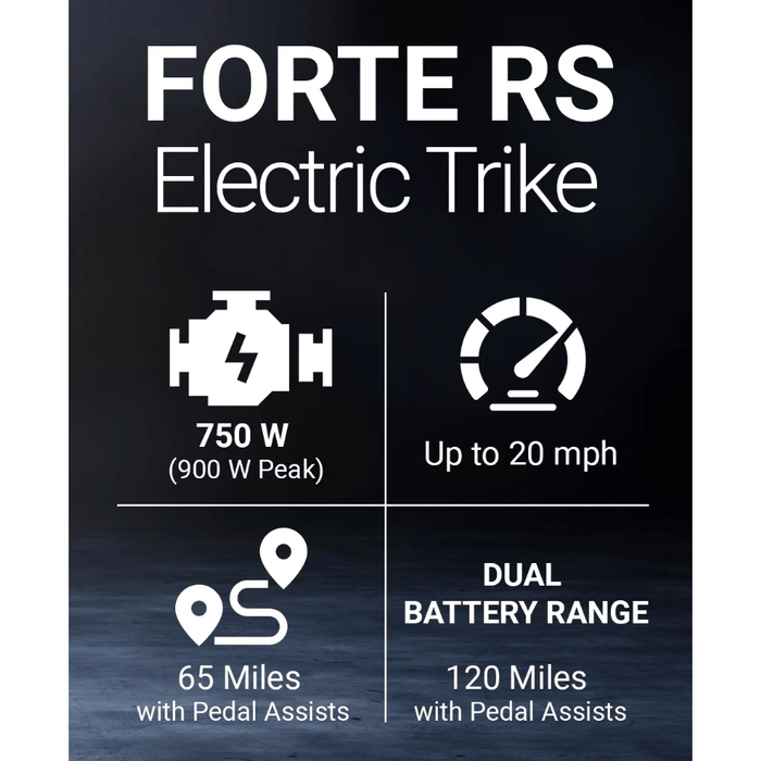 GOBike FORTE Electric Tricycle With Rear Seat Electric Tricycle ComfyGo   