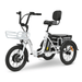 GOBike TRIO Crossover Lightweight Foldable Electric Tricycle Electric Tricycle ComfyGo   