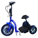 RMB Multi Point QR 3-Wheel Electric Scooter Mobility Scooters RMB Electric Vehicles   