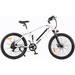 GOBike ROBUSTO Electric Mountain Bike Electric Bicycles ComfyGo White  